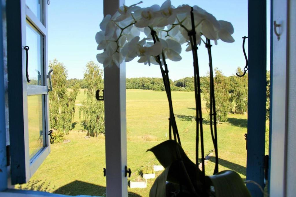 Bornholm Majalis Apartment Rønne Екстериор снимка