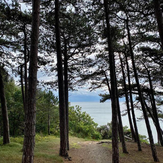 Bornholm Majalis Apartment Rønne Екстериор снимка